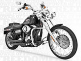 Freedom Performance FPE-HD00048 Amendment Exhaust Black for Dyna 06-17