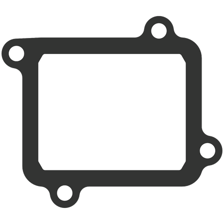 Air Intake Gaskets