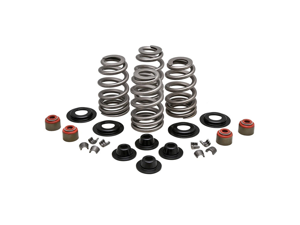 Kibblewhite KPM-20-21400 Valve Spring Kit for Harley-Davidson Twin Cam 05-17/Sportster 04-21 Beehive Springs w/0.610" Lift