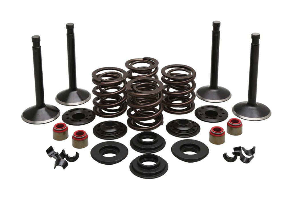 Kibblewhite KPM-20-22450 Valve & Spring Engine Kit for Harley-Davidson 1200cc Big Twin 66-77
