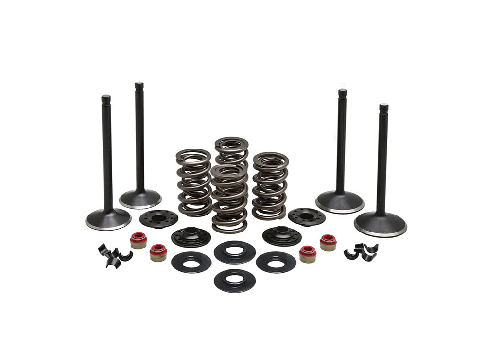 Kibblewhite KPM-20-22650 Valve & Spring Engine Kit for Harley-Davidson Evolution Big Twin 84-99