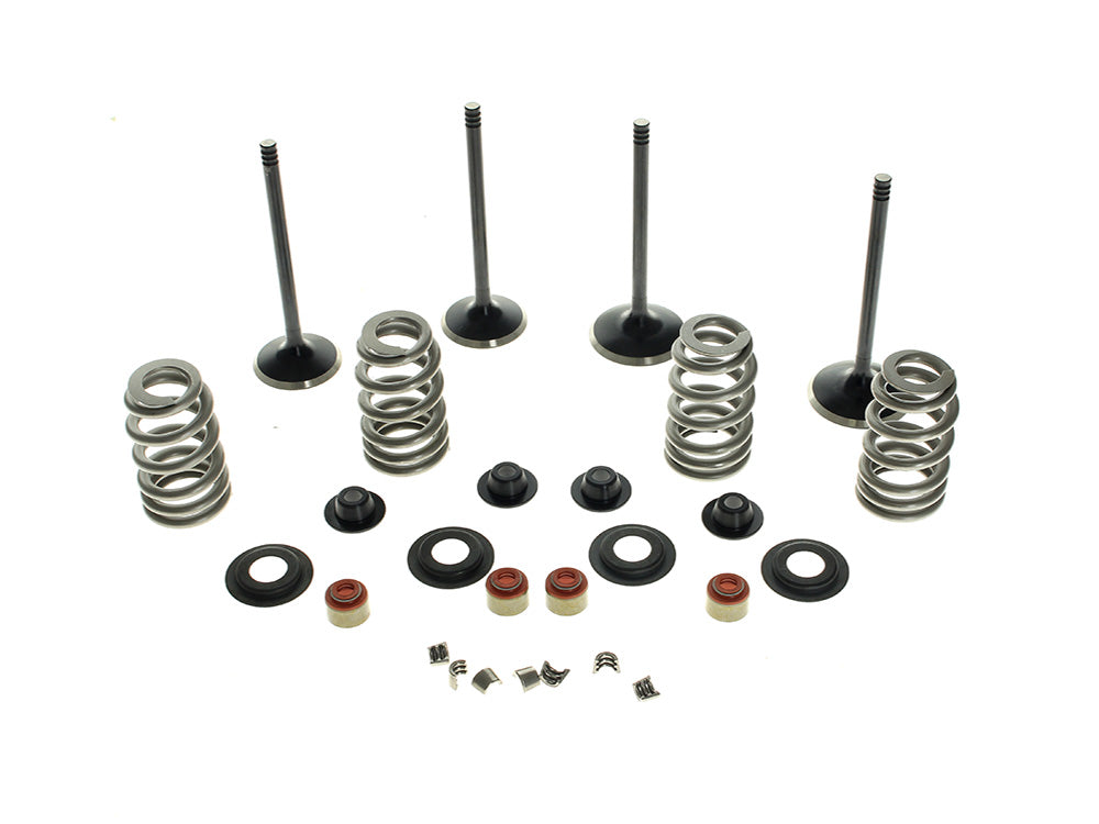 Kibblewhite KPM-20-23150 Valve & Spring Engine Kit for Harley-Davidson Twin Cam 05-17