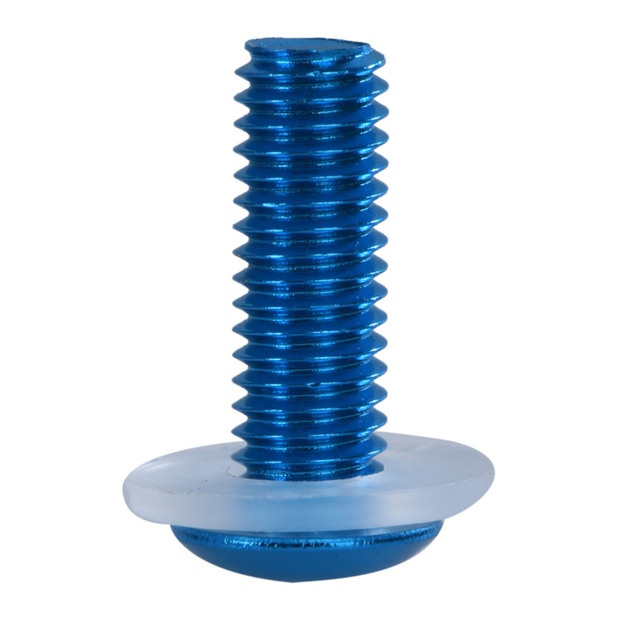 Oxford Screen Screw Blue