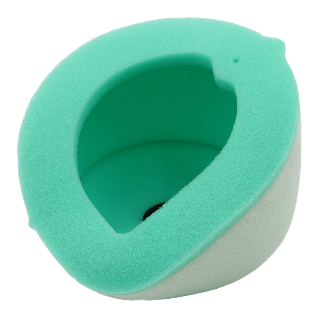 Putoline PUTAFKT4219 Air Filter for KT4219