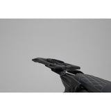 SW-Motech SW-GPT0015255200-B PRO Tank Ring Adapter Kit Black with Adapter Plate for STREET-RACK Base Plate