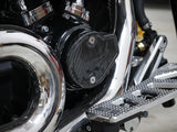 Thrashin Supply TS-TSC-3032-1 Cam Cover Gloss Carbon for Harley-Davidson CVO Touring 23-Up/Street Glide/Road Glide 24-Up/Touring/Softail 25-Up