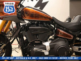 Thrashin Supply TS-TSC-3111-1 Air Scoop Coil Cover Gloss Carbon for Harley-Davidson Softail 18-Up/Touring 24-Up