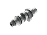 TTS Inc TTS-2000313 TTS 190 Chain Drive Camshaft for Harley-Davidson Gen 2 Milwaukee-Eight 24-Up (Great In 121ci Engines)