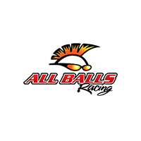 AllBallsRacing Logo